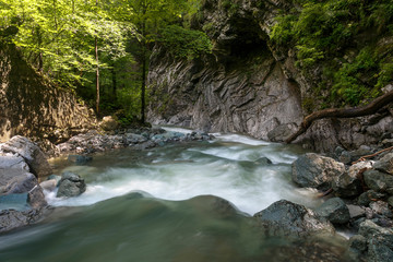 Fototapeta premium Mountain forest stream with fast flowing water and rocks, long exposure.