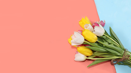 Creative layout with tulips on a colorful background, minimal holiday and spring concept, geometry. Greeting card, spring banner for the screen, happy birthday, wedding, place for text, flat lay