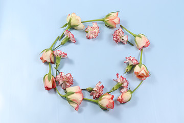 Creative layout with roses on a blue background, minimal holiday and spring concept. Greeting card, spring banner for the screen, happy birthday, wedding, place for text, flat lay