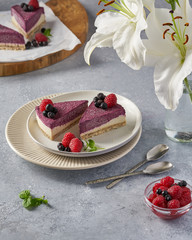 raw vegan double-layer cake with black currant on a light gray background under a concrete texture. Healthy eating, delicious dessert without baking