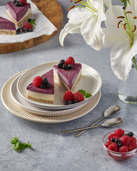 raw vegan double-layer cake with black currant on a light gray background under a concrete texture. Healthy eating, delicious dessert without baking