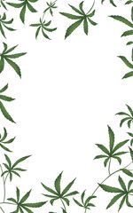 Frame of floral green leaves cannabis on a white isolated background. Digital illustration. Use for posters, flyers, postcards, posters, textiles, wallpaper, clothing. Drug lega