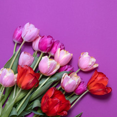Obraz premium Greeting card with colorful spring tulips flower. Holiday bouquet. Concept of Mother's Day, Birthday or Valentine's Day celebrations. Top View, Flat lay