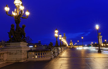 Fototapeta na wymiar The famous Alexandre III bridge at night, Paris, France