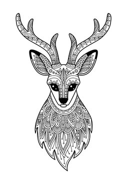 Vector deer head antistress doodle coloring book page for adult. Forest deer black and white illustration.