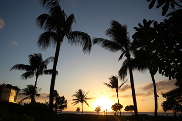 Obraz premium Hawaii