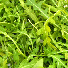 green fresh leaves close-up. Rocket salad or arugula.
