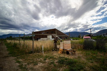 Bee Keeper