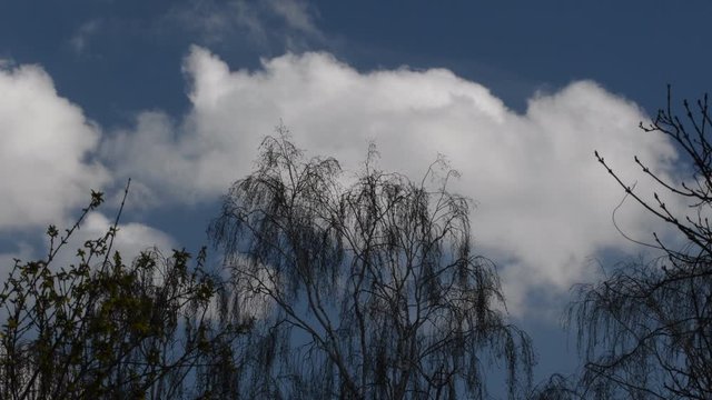 Sunny impressions from the surroundings of Tempelhof Airport in Berlin (Closed on October 30, 2008) of March 5, 2020, Germany