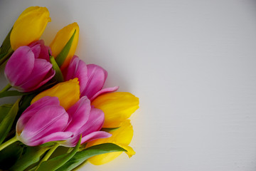 Pink and yellow tulips on white