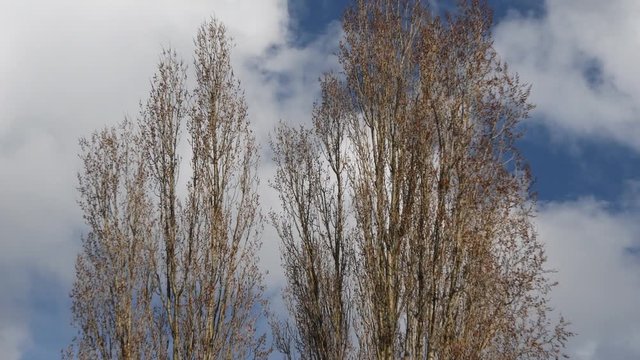 Sunny impressions from the surroundings of Tempelhof Airport in Berlin (Closed on October 30, 2008) of March 5, 2020, Germany