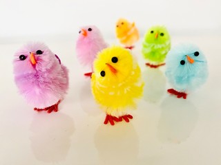 easter chicks