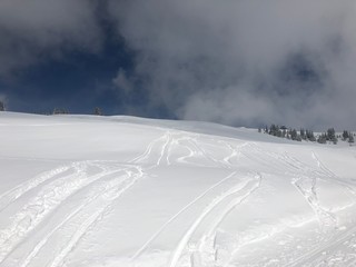Traces de skieurs dans na neige poudreuse