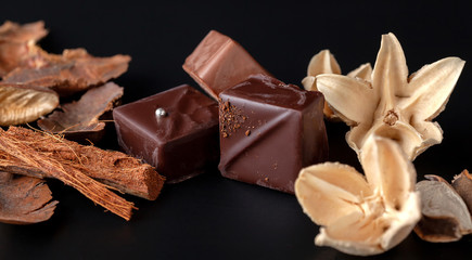 Composition of natural chocolate on a dark background.