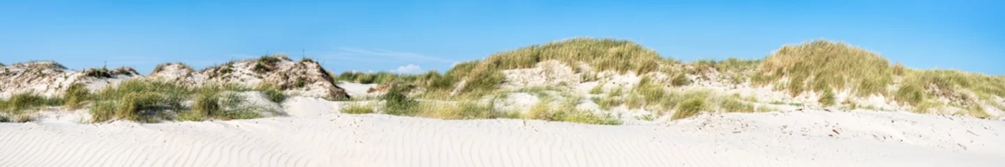 Schilderijen op glas Sand dunes as panoramic background © eyetronic