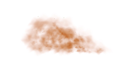 Dust cloud with particles with dirt,cigarette smoke, smog, soil and sand  particles. Realistic vector isolated on transparent background.