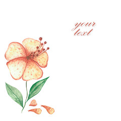 watercolor flower on a white background for your cards and wishes