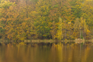 Fototapeta premium Small forest lake on a sunny autumn morning in Soderasen national park, Sweden.