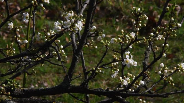 Sunny impressions from the surroundings of Tempelhof Airport in Berlin (Closed on October 30, 2008) of March 5, 2020, Germany