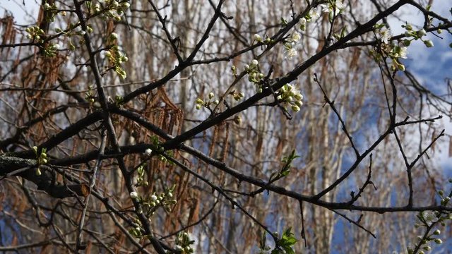 Sunny impressions from the surroundings of Tempelhof Airport in Berlin (Closed on October 30, 2008) of March 5, 2020, Germany