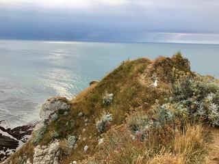 coast of mediterranean sea