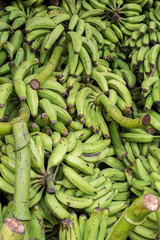 Bunches of bananas on the stalk, messily piled up in a market
