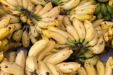 Bunches of fresh, sweet, small, yellow bananas in a market with brown marks on them