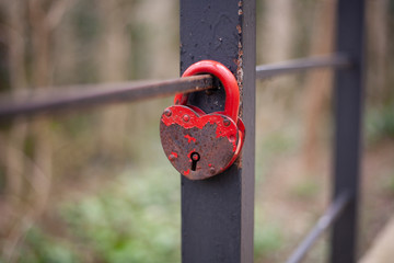 Castle of the newlyweds. The castle hangs on the fence. Symbol of love in the park. The metal red...