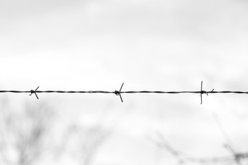 Barbed wire isolated on a white background,