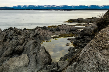 Fototapeta na wymiar Rock formations and ponds on Spring Beach. Cow Head, Newfoundland, Canada