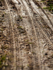 Bicycle print on a wet ground, selective focus, concept outdoor activity, cycling.