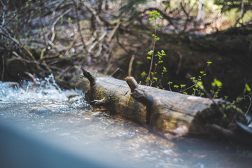 Log in lazy stream