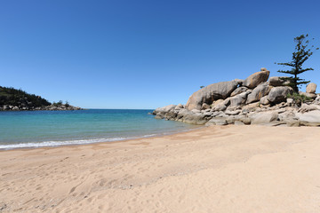 Fototapeta na wymiar Beach scene with granite rocks and Hoop pine tree, Arthur Bay, Magnetic Island, Queensland, Australia