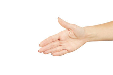 caucasian female person showing open hand palm gesture. isolated on a white background. gesturing concept.