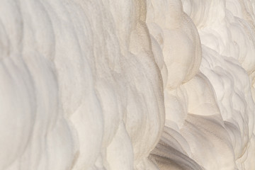 Pamukkale white cotton-like rock formations travertines detail, Turkey