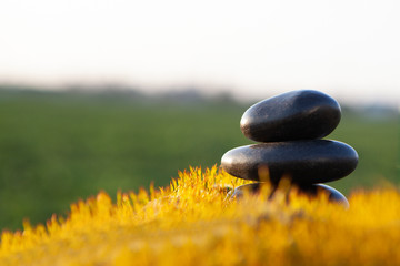 Stone of balance - spece for tex.