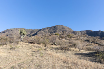San Juan Cosala Mountain Range.  Jalisco, Mexico.