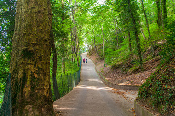 La strada che conduce a Villa del Balbianello, Lenno, Lombardia, Italia