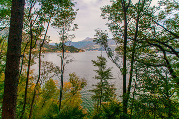 Panorama del Lago di Como con alberi e fiori, Italia
