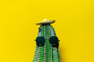 Close-up portrait of green cactus with mexican hat and sunglass, isolated on background of yellow color.