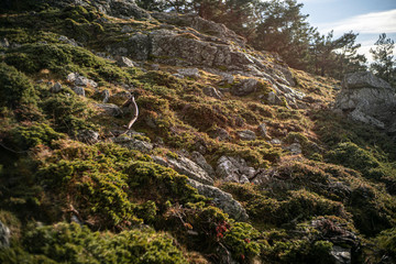 paseo por la montaña, segovia
