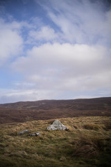 naturaleza en irlanda- deco