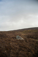 piedra en irlanda