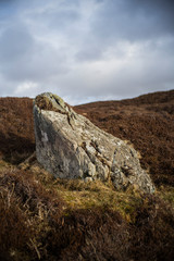 piepiedra grande en irlanda