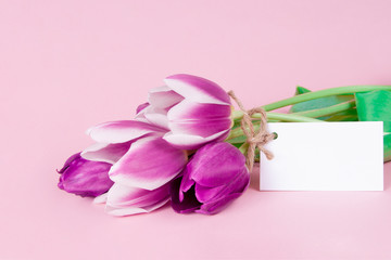 Delicate postcard purple flowers tulips with a note on a pink background mock up