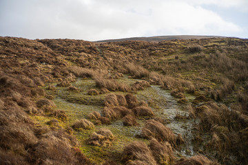 llanura irlandesa, humedal