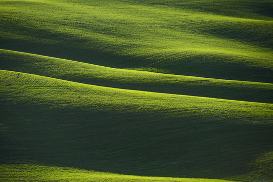 texture erba