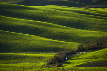 Obraz premium onde della terra