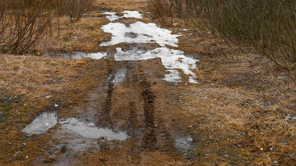 Melting snowdrifts on a road in a rural area with dry, yellow grass, puddles of water and branches of bushes.The concept of rising temperatures, the arrival of spring and warming.
