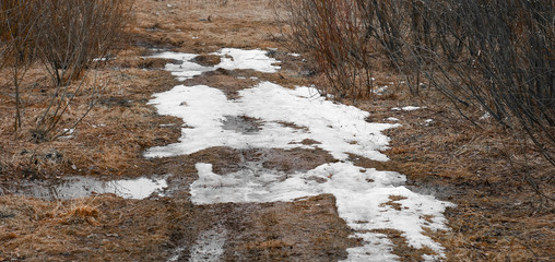 Melting snowdrifts on a road in a rural area with dry, yellow grass, puddles of water and branches of bushes.The concept of rising temperatures, the arrival of spring and warming.